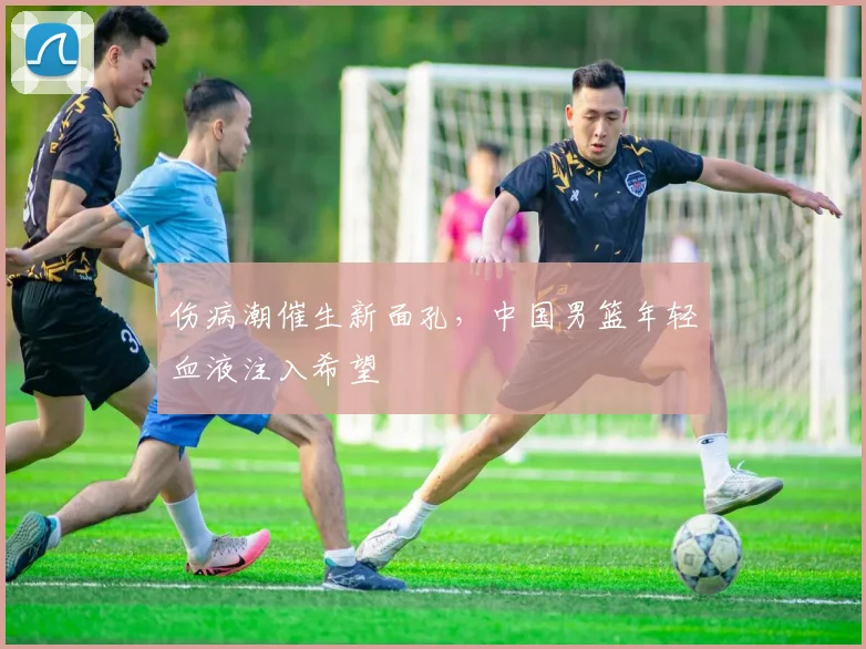 伤病潮催生新面孔，中国男篮年轻血液注入希望