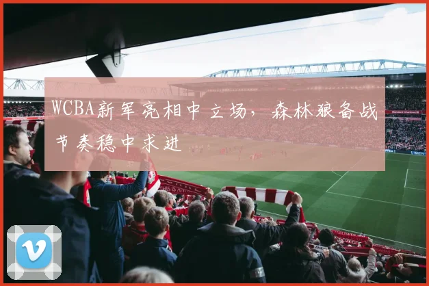 WCBA新军亮相中立场，森林狼备战节奏稳中求进